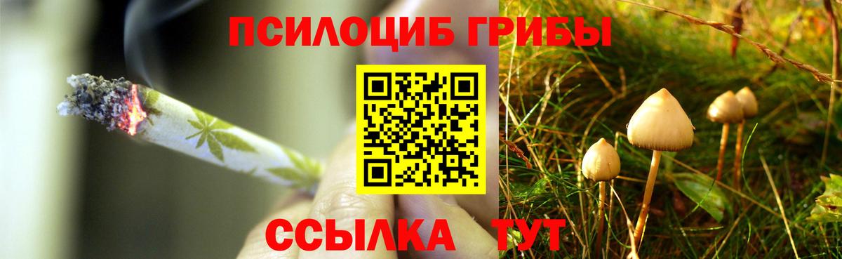 Галлюциногенные грибы Cubensis Копейск
