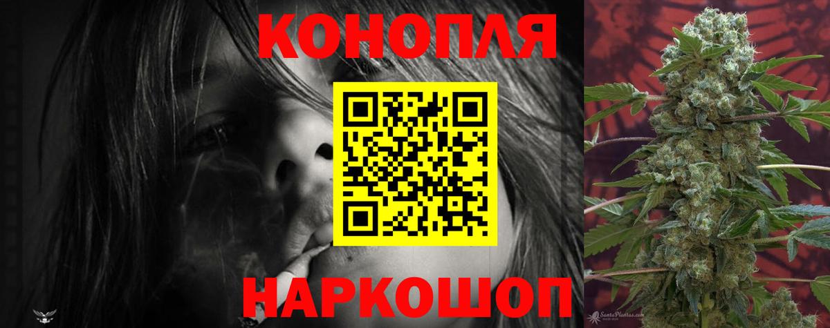 Марихуана THC 21%  Вход с VPN  Конопля тримм  Марихуана Bruce Banner  Копейск 